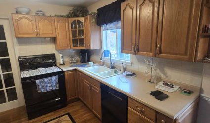 dave_fran_kitchen